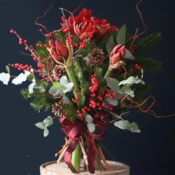 Amaryllis and Ilex