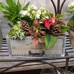 Seasonal planter