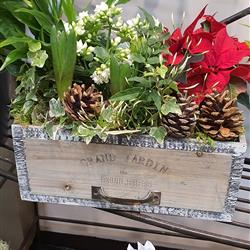Large seasonal planter