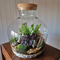 Terrarium