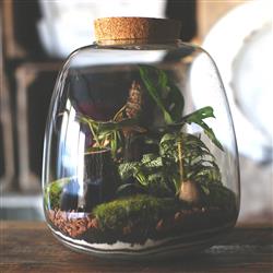 Terrarium with LED cork