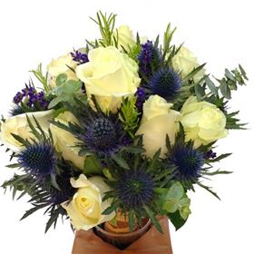 fwthumbavalanche_rose_eryngium_alpinum_orion.jpg
