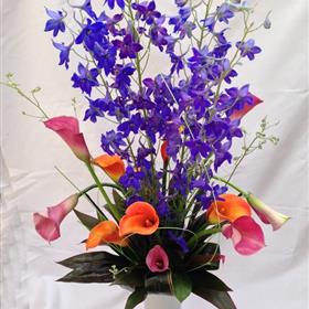 fwthumbWatford-flower-shop-Corporate_7.jpg