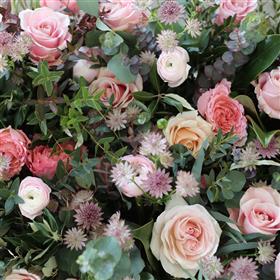 fwthumbroses1.jpg